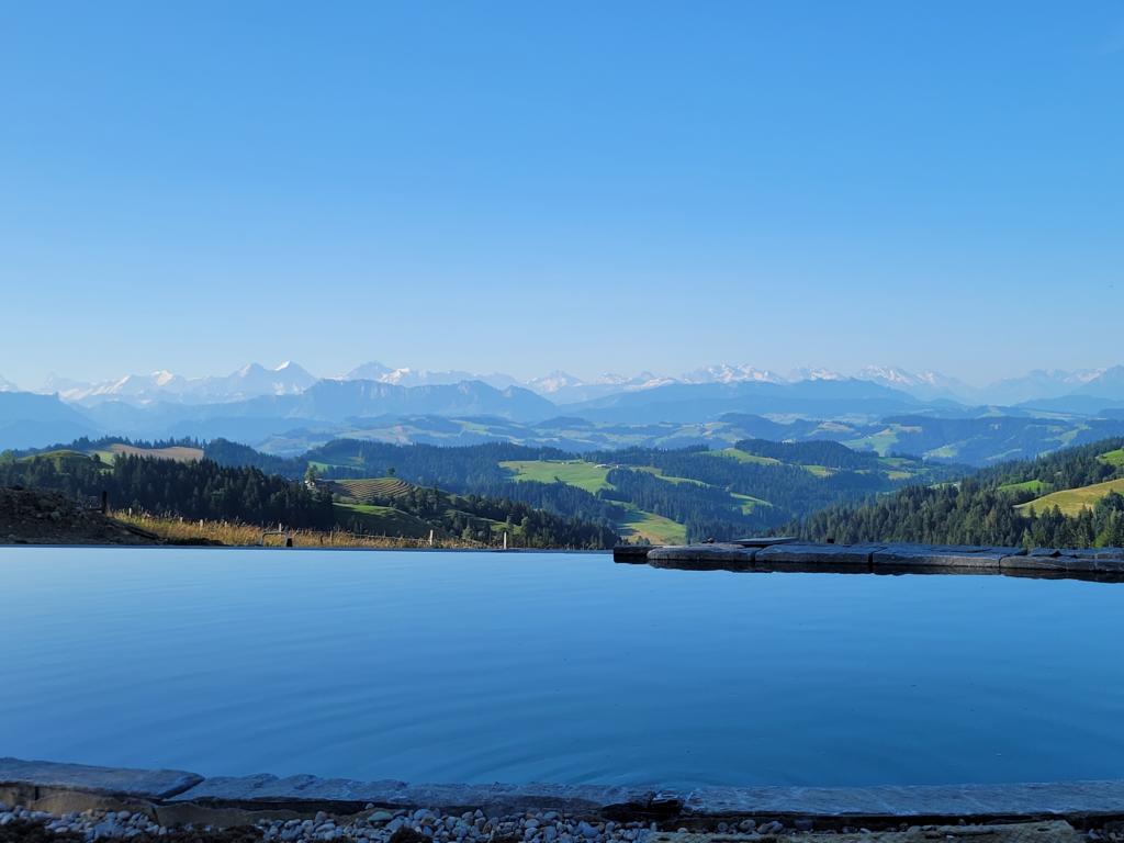 Schwimmteich